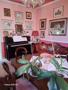 Le Ortensie img28