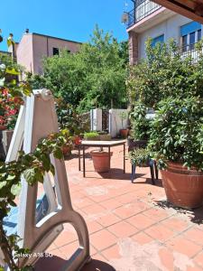 Le Ortensie img38
