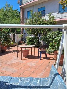 Le Ortensie img48
