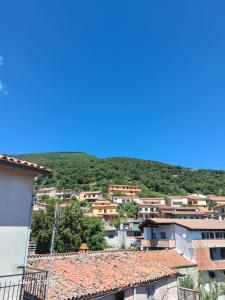 Le Ortensie img53