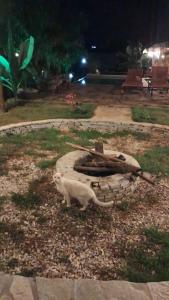 Loft in Piri, piscina churrasqueira e natureza