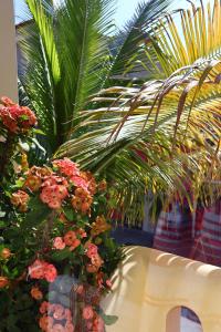Hotel Casa Palmares
