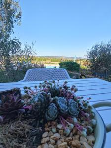 Emese Apartman Cserszegtomaj