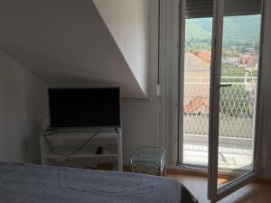 Apartment Sokobanja