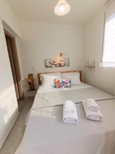 BelApartments
