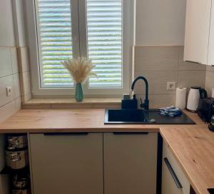 Modern and spacious 3-bedroom apartment with balcony & garden near beach