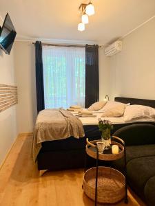 Apartament Klonowa Kołobrzeg przy morzu z garażem