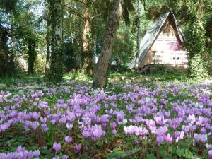 Chalets La Rossignolerie - Cabane aux oiseaux : photos des chambres