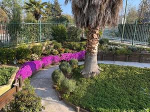 Casa Super Vista a los Andes