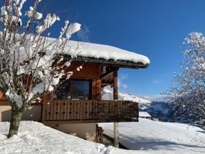 Le petit skieur