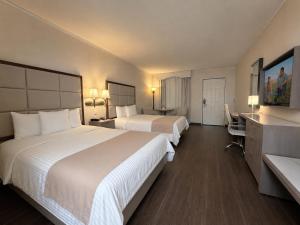 Safi Royal Luxury Centro