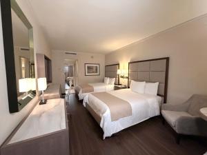 Safi Royal Luxury Centro