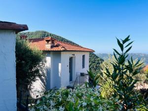 Tuscany Villa Betula