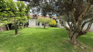 3 Bedrooms Esposende Terrace Villa