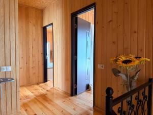 Shekvetili Villa