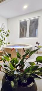 Apartman Ravlic
