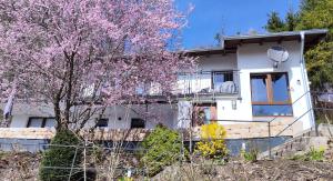 Chalet am Diemelsee mit Seeblick