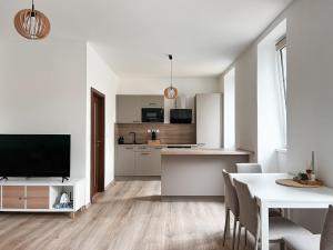 Apartment in Karlovy Vary