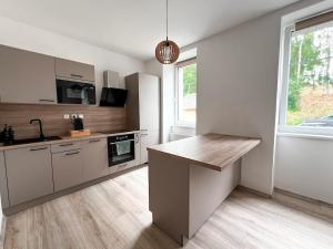 Apartment in Karlovy Vary