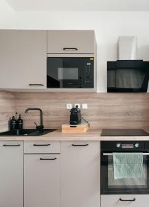 Apartment in Karlovy Vary