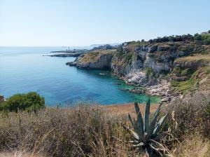 Little Paradise