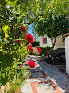 Il giardino del Falso Pepe