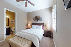 Dove Mountain Dream