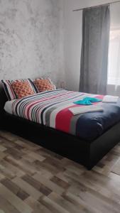 Studio apartment in Timisoara 1