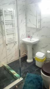 Studio apartment in Timisoara 1
