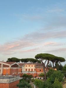 Terrazza & Relax Rome Collection