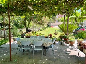 Green Atelier Garden near Kotor