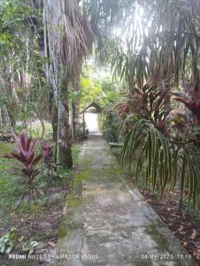 Amazon Lodge Varillal