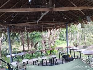Amazon Lodge Varillal