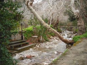 Argo Studios Chios-Island Greece