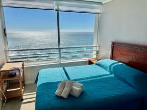 Stunning sea views from Euromarina