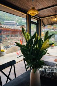 Ơ MÂY ZING Homestay