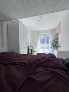 Cozy apartment in Graz Geidorf