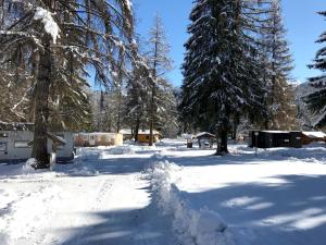 Club del Sole Val di Fiemme Easy Camping Village
