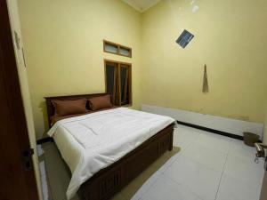 Shelter Ijen tour bed and breakfast
