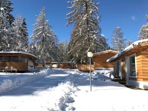 Club del Sole Val di Fiemme Easy Camping Village