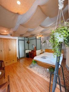 T-Bona Homestay
