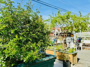 Private Suite - Near SkyTrain to DT - Free Parking