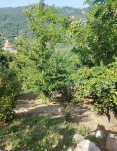Casa Baki, un Rifugio nella Natura