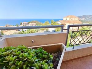 Pedra Blu Holiday Home with stunning terrace overlooking the sea