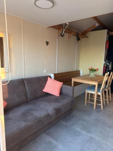 Strandhuisje Dishoek 381