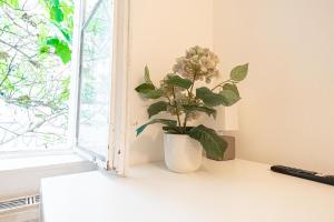 Cozy 3BR with Living Room Near Belvedere Palace