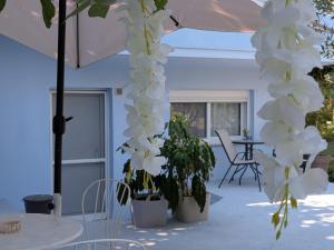 Aristi s Cozy Seaside Apartment Nea Iraklitsa