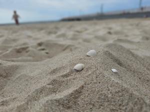 Apartament Przy Parkowej w centrum Niechorza blisko plaży