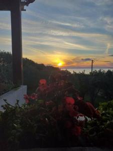 Nea Potidaia Beach House
