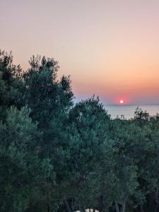 Nea Potidaia Beach House